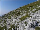 Planina Kuk - Zeleni vrh